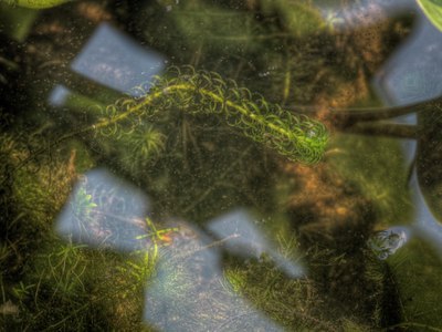 BUITEN BEELD Foto: 101742