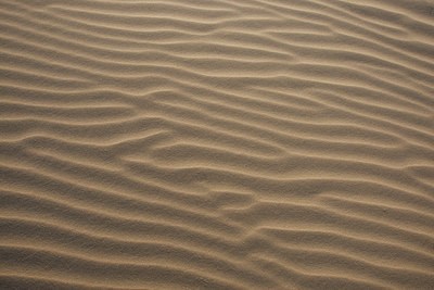 BUITEN BEELD Foto: 101746