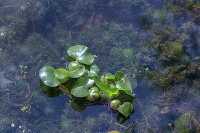 BUITEN BEELD Foto: 101760