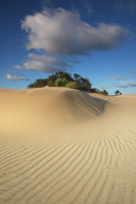 BUITEN BEELD Foto: 101781