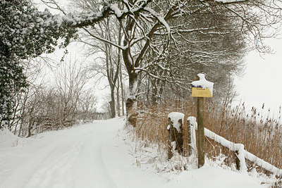 BUITEN BEELD Foto: 101827