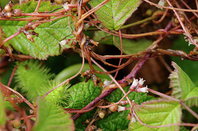 BUITEN BEELD Foto: 102052