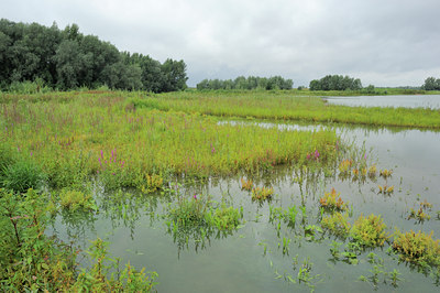 BUITEN BEELD Foto: 102055