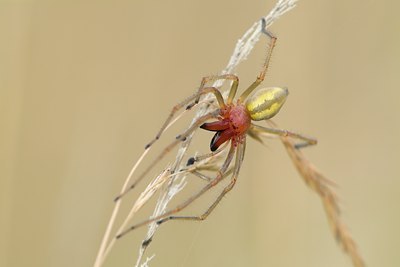 BUITEN BEELD Foto: 102056
