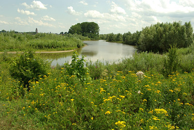 BUITEN BEELD Foto: 102059