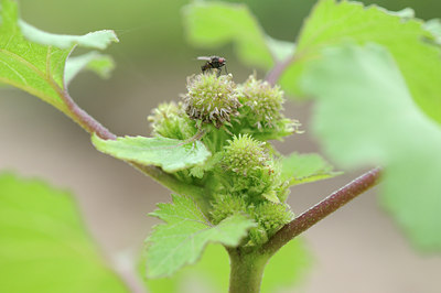 BUITEN BEELD Foto: 102121