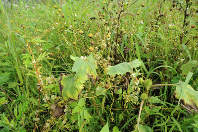 BUITEN BEELD Foto: 102123