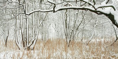 BUITEN BEELD Foto: 102337