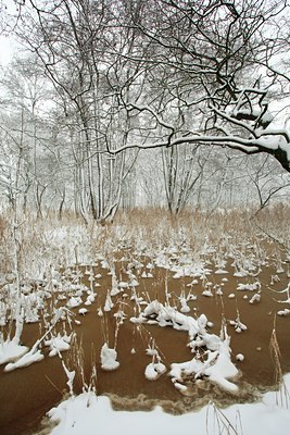 BUITEN BEELD Foto: 102342