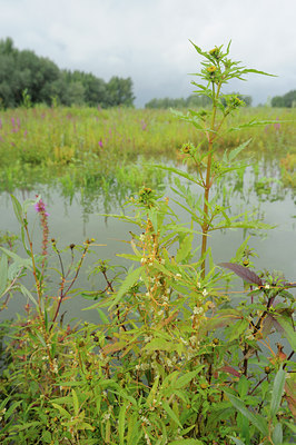 BUITEN BEELD Foto: 102344