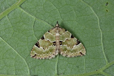 BUITEN BEELD Foto: 102357