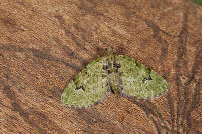 BUITEN BEELD Foto: 102401