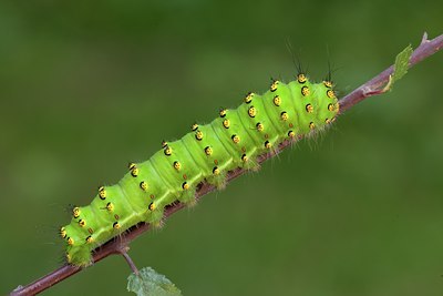 BUITEN BEELD Foto: 102436