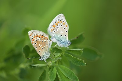 BUITEN BEELD Foto: 102490