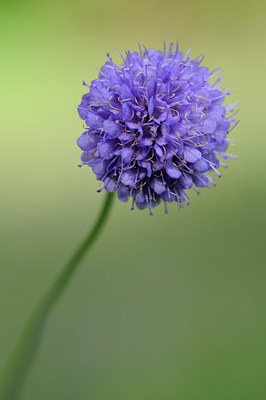 BUITEN BEELD Foto: 102534
