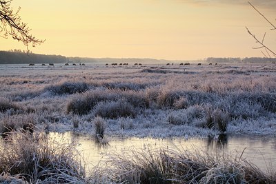 BUITEN BEELD Foto: 102604