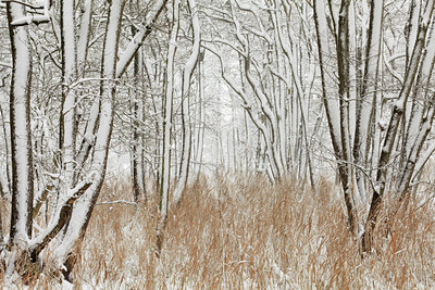 BUITEN BEELD Foto: 102616