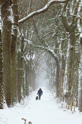 BUITEN BEELD Foto: 102622