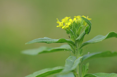 BUITEN BEELD Foto: 102653