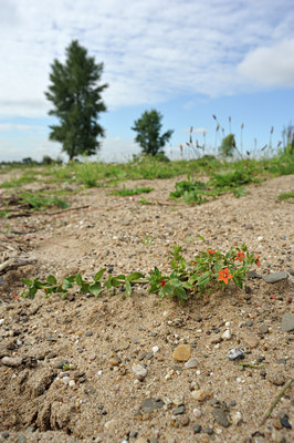 BUITEN BEELD Foto: 102685