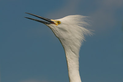 BUITEN BEELD Foto: 102696