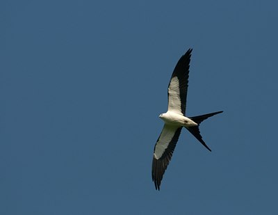 BUITEN BEELD Foto: 102723