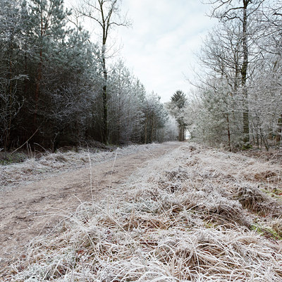 BUITEN BEELD Foto: 102730