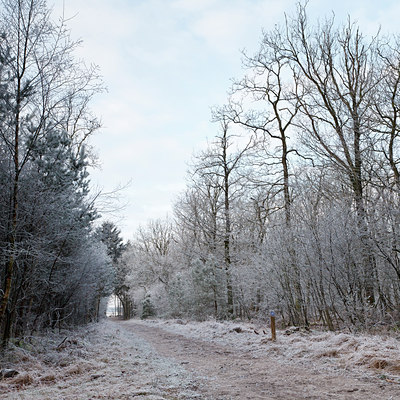 BUITEN BEELD Foto: 102732