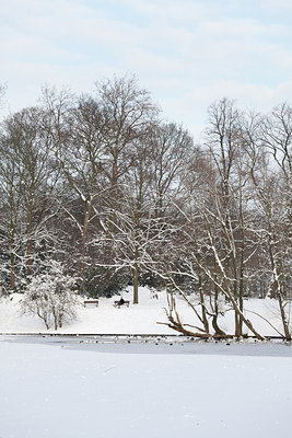 BUITEN BEELD Foto: 102737