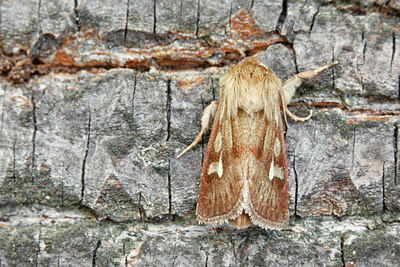 BUITEN BEELD Foto: 102749