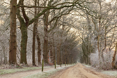 BUITEN BEELD Foto: 102767