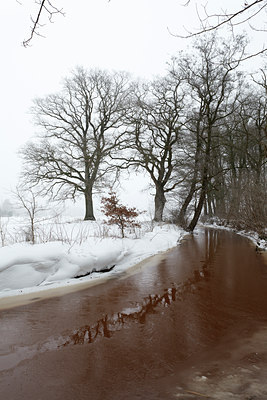 BUITEN BEELD Foto: 102770