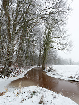 BUITEN BEELD Foto: 102772