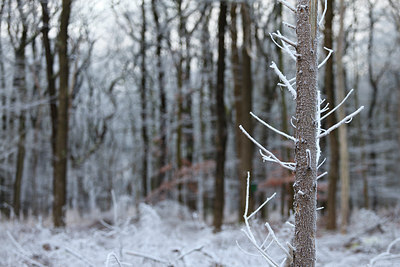 BUITEN BEELD Foto: 102777