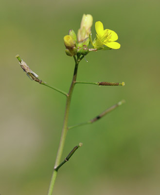 BUITEN BEELD Foto: 102809