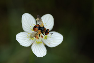 BUITEN BEELD Foto: 102816