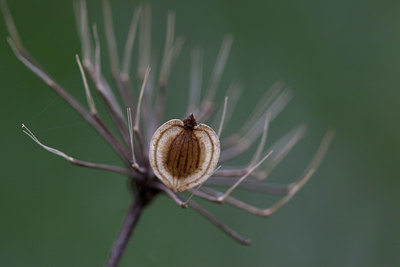 BUITEN BEELD Foto: 102840