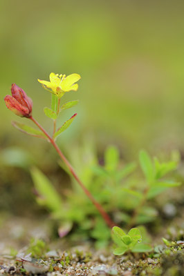 BUITEN BEELD Foto: 102864
