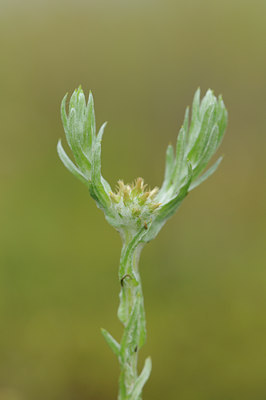 BUITEN BEELD Foto: 102869