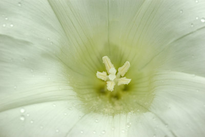 BUITEN BEELD Foto: 102878