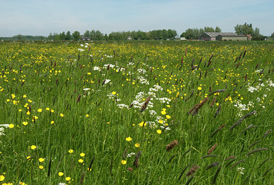 BUITEN BEELD Foto: 102888