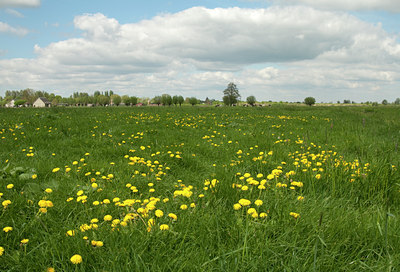 BUITEN BEELD Foto: 102889