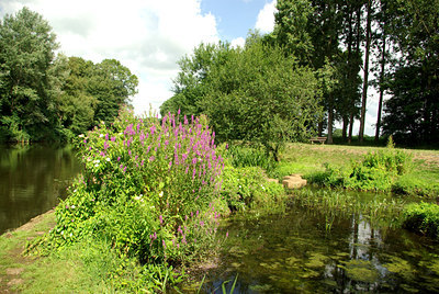BUITEN BEELD Foto: 102893