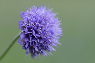 BUITEN BEELD Foto: 102922