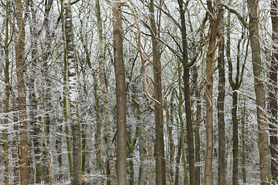 BUITEN BEELD Foto: 102949