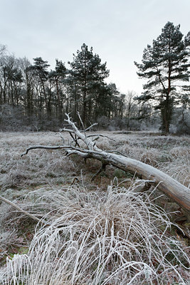 BUITEN BEELD Foto: 102950