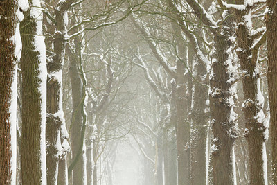 BUITEN BEELD Foto: 102952