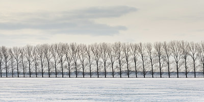 BUITEN BEELD Foto: 102954
