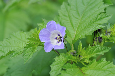 BUITEN BEELD Foto: 102959