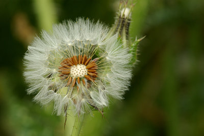 BUITEN BEELD Foto: 102998